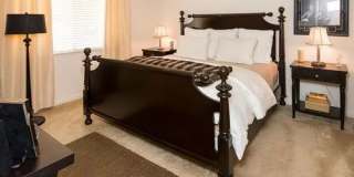 Dresden Forest Gallery 4