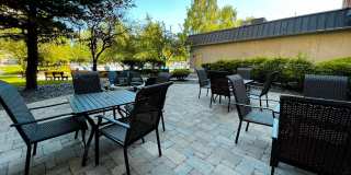 The Flamingo Gallery 12