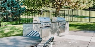 Kallisto at Bear Creek Gallery 27