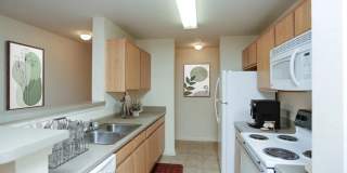 Square One Gallery 1