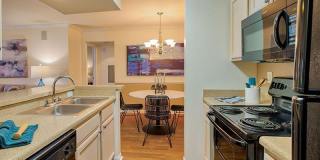 Central Park Gallery 4