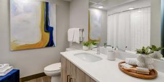 Novus Apartments Gallery 7