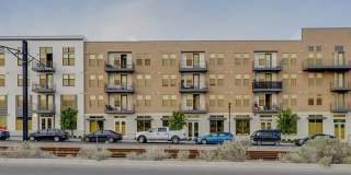 Vida at Daybreak Gallery 37