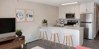 Regency Park Gallery 10