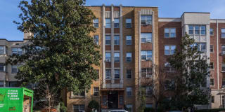 The Roberta Gallery 17