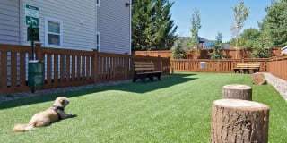 Baseline Woods Gallery 27