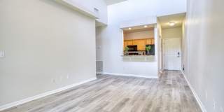 Silver Springs Gallery 5