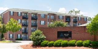 Aria Lake Carolina Gallery 11