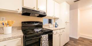 Oasis Club Gallery 2