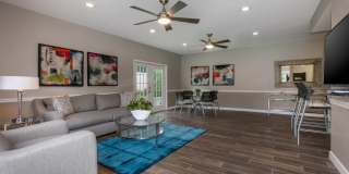 Steeplechase Gallery 15