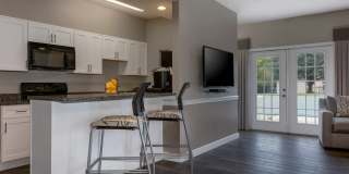 Steeplechase Gallery 16