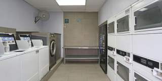 Columns on 59 Gallery 9