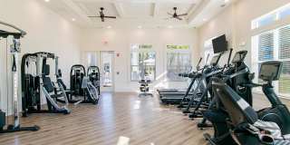 Exchange at Daphne Gallery 16