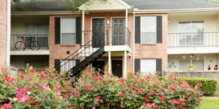 Walnut Terrace Gallery 20