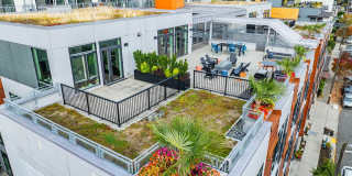 Dexter Hayes Apartments Gallery 51