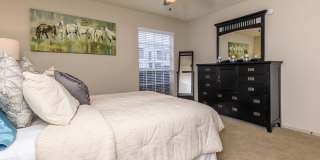 Nova Park Apartment Homes Gallery 7