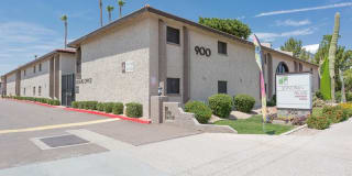 Sonoran Palms Gallery 5