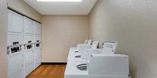 Miami - Coral Gables Gallery 4