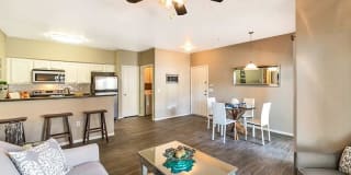 Town Center Apartments Gallery 18