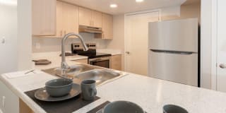 Lakeside Village Gallery 1