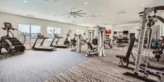 Volta at Voyager Gallery 4