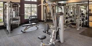 Riverwalk Gallery 15