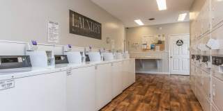Kingwood Gallery 2