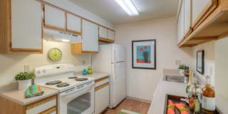 Amberview Gallery 2