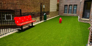 515 West Briar Gallery 6