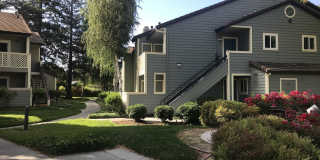 Amberwood Apartments Gallery 3