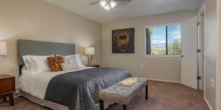 Meadowlark Gallery 16