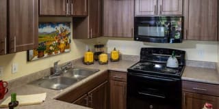 La Serena at the Heights Gallery 1