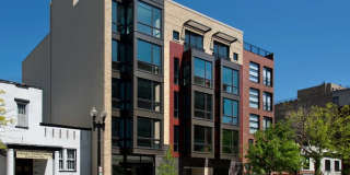 3825 Georgia Gallery 8