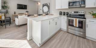 TerraLane on Cotton Gallery 1