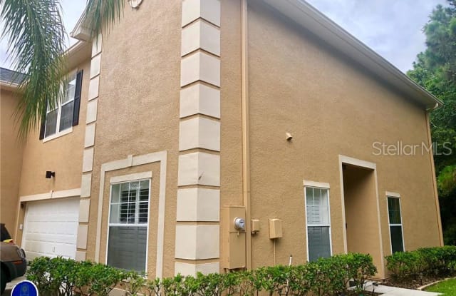 16312 FAIRFORD PALMS COURT - 16312 Fairford Palms Court, Tampa, FL 33647