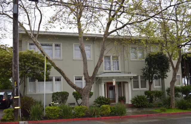 Ground floor unit in the Elmwood district photos photos Ground floor unit in the Elmwood district photos photos