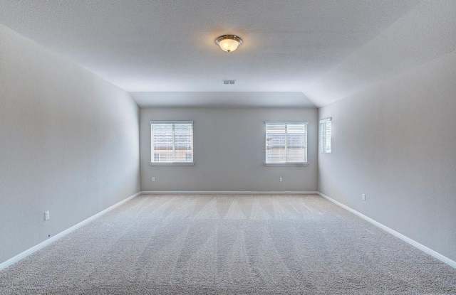 10809  Owyhee VW - 10809 Owyhee View, Austin, TX 78754