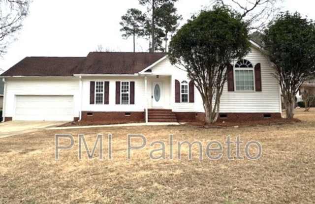 149 Kerry Gibbons Drive - 149 Kerry Gibbons Drive, Lexington County, SC 29036