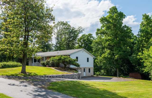 51 PINE GROVE LANE Gallery 4