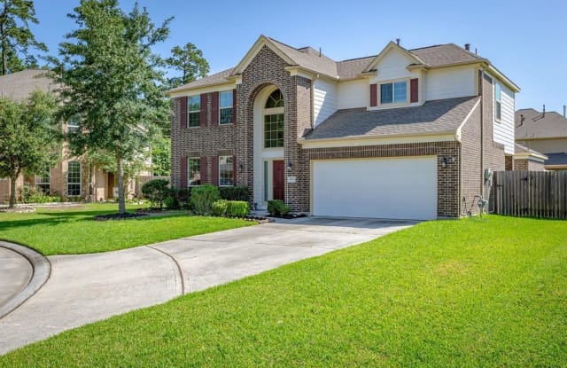 24726 Broad Branch Court - 24726 Broad Branch Court, Spring, TX 77373