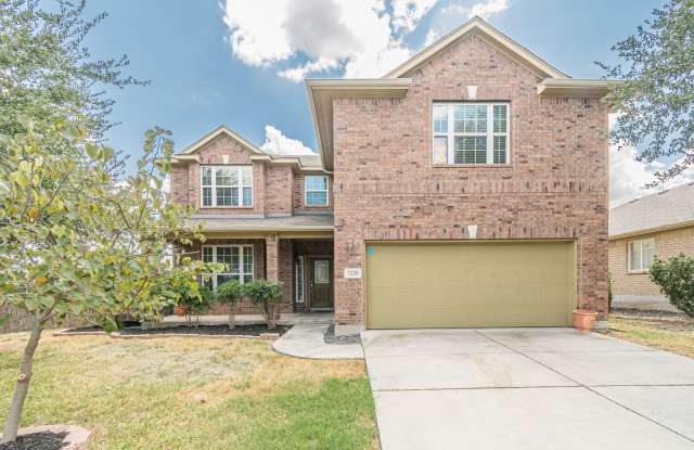 7230 Willow Rain photos photos