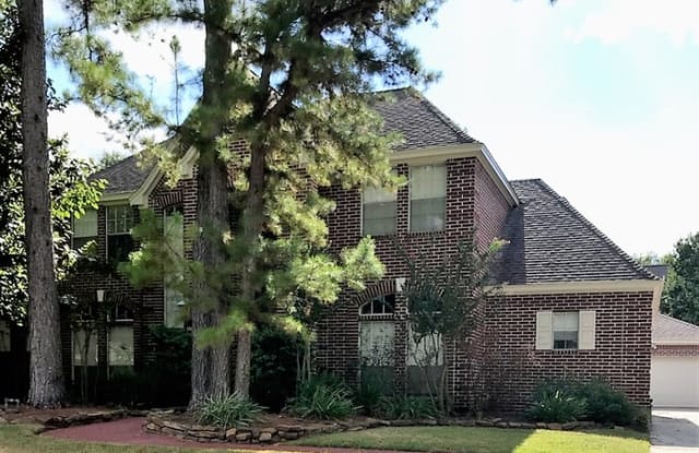 124 Golden Shadow Circle - 124 Golden Shadow Circle, The Woodlands, TX 77381