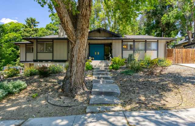 Renovated Mid Century Modern Home in the Desirable University Area photos photos