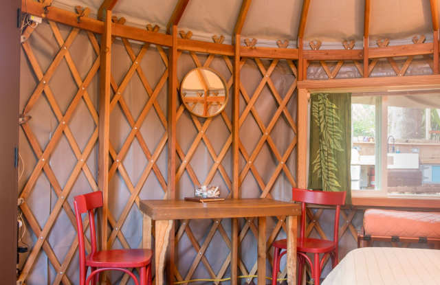 Furnished studio yurt in Hawi Gallery 3