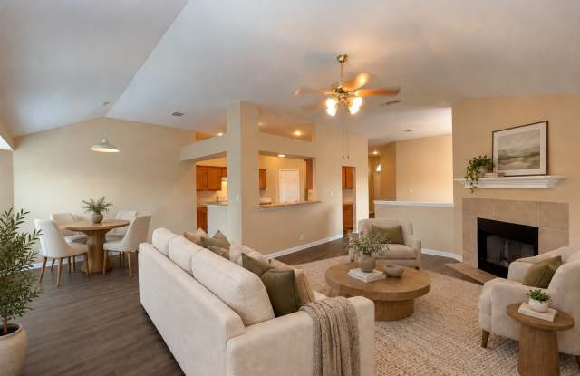 4803 Orchid Star Gallery 3