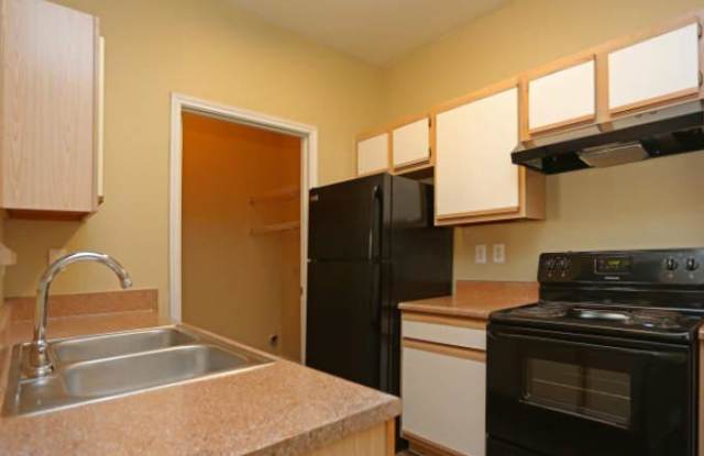 9862 Camino Villa Gallery 4