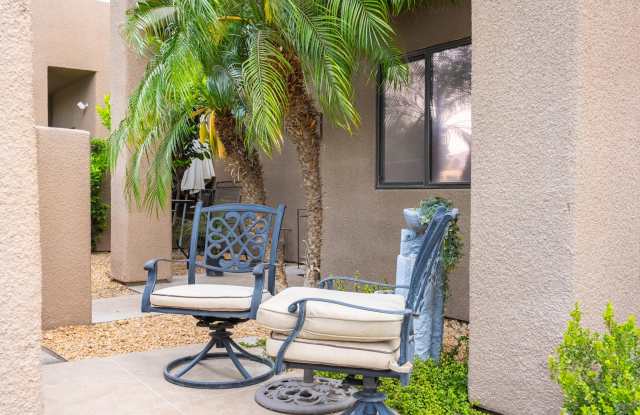 28914 Desert Princess Drive Gallery 2