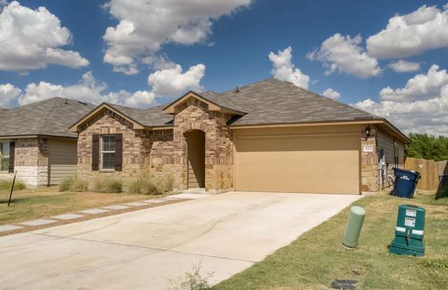 521 Anconia Ct, Jarrell, TX 76537 Gallery 3
