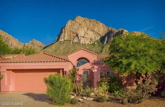 1480 E Ram Canyon Drive - 1480 Ram Canyon Drive, Oro Valley, AZ 85737