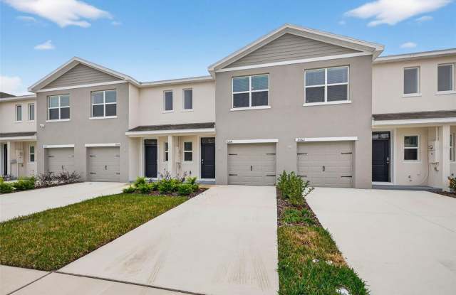 31264 PAPER BIRCH STREET - 31264 Paper Birch Street, Pasco County, FL 33545